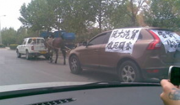 毛驴拉车视频,传统农耕文化的生动写照